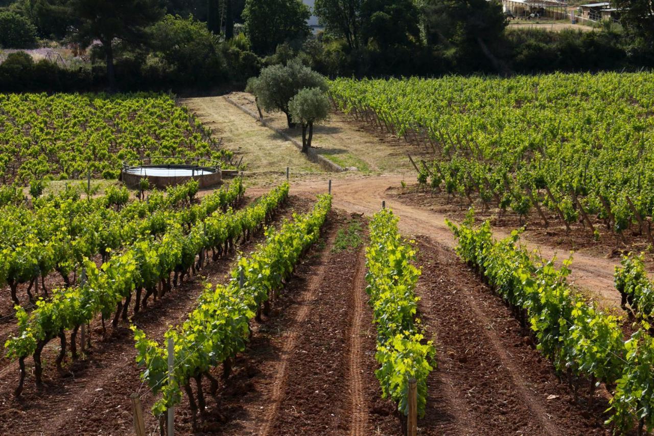 Domaine De La Navicelle Vila Le Pradet Exterior foto