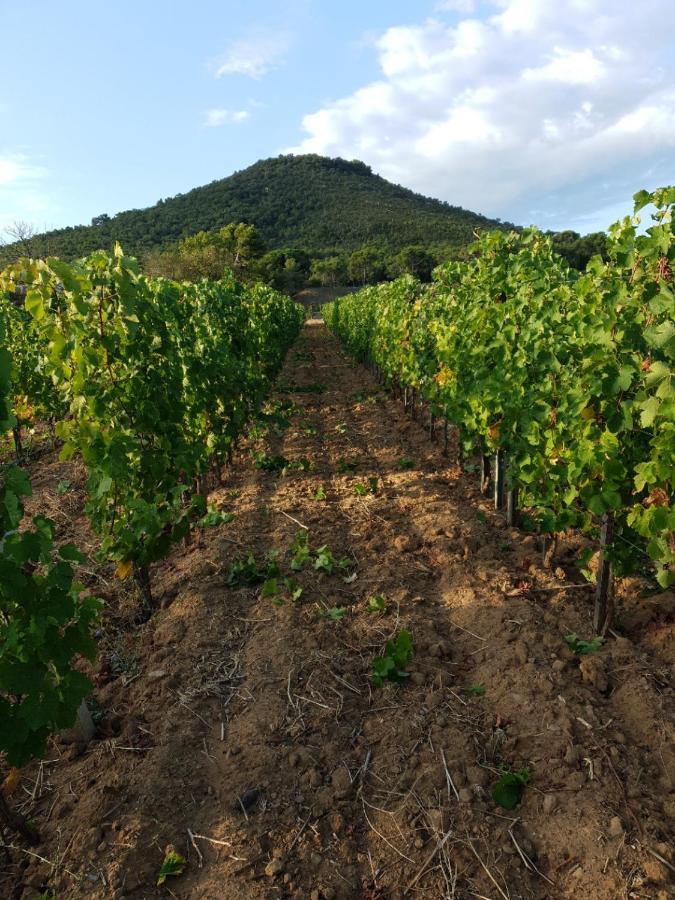Domaine De La Navicelle Vila Le Pradet Exterior foto
