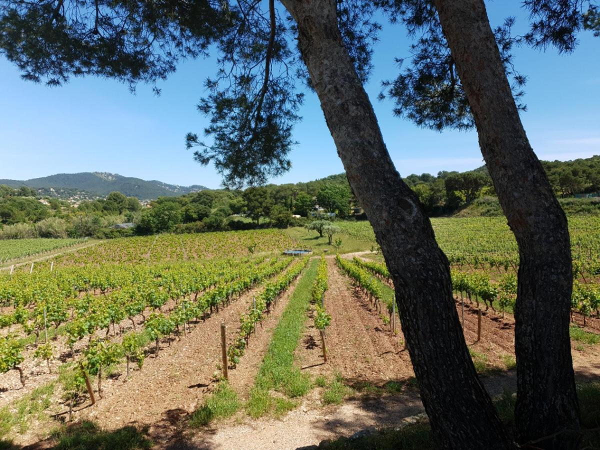 Domaine De La Navicelle Vila Le Pradet Exterior foto