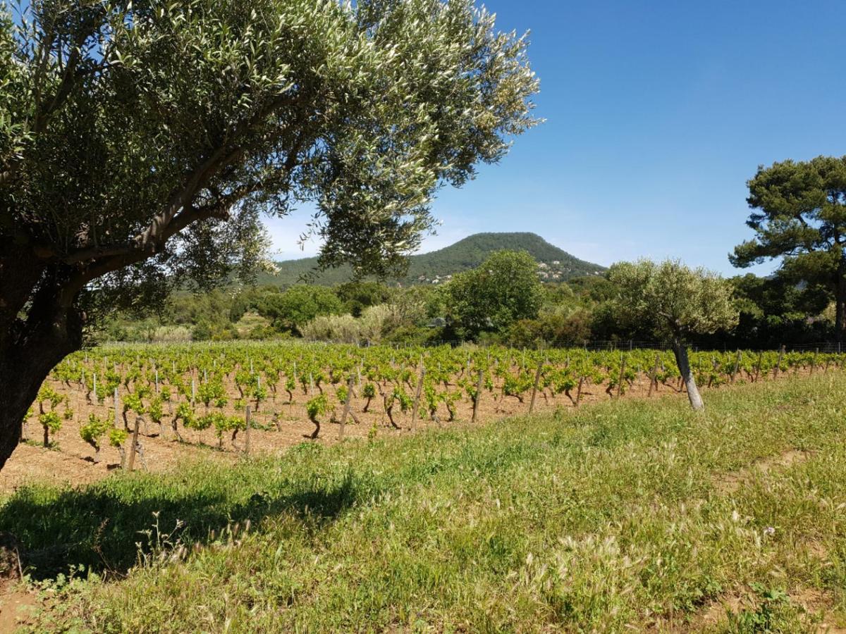 Domaine De La Navicelle Vila Le Pradet Exterior foto